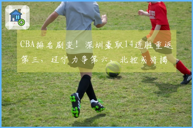 CBA排名剧变！深圳豪取14连胜重返第三，辽宁力争第六，北控或将揭晓悬念